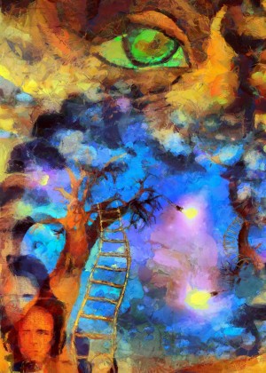 Thoughts and Dimensions